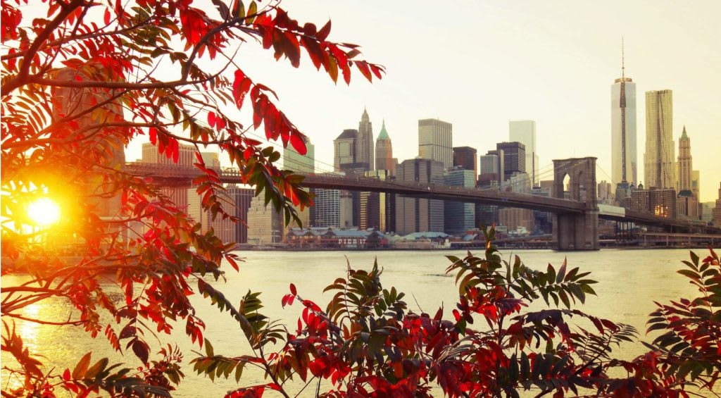 Market Insights for Brooklyn: September 2022