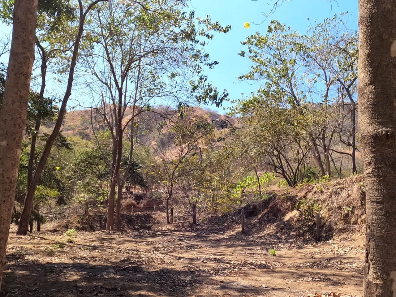 Land of your dreams | Large Lot with 2 Road Accesses