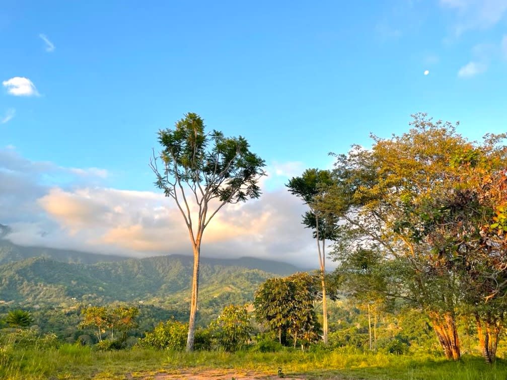 Majestic Expansive Mountain Backdrop