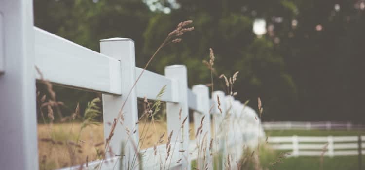 Fencing 101: How to Pick the Best Fence for Your Property