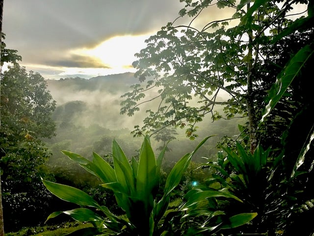 Waterfall River Luxury Home, Dominical, Puntarenas