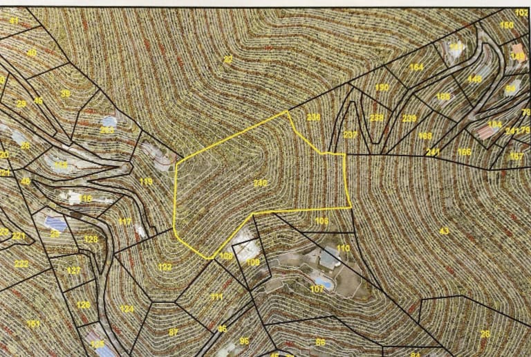 853 Palestina 5.4 Acres