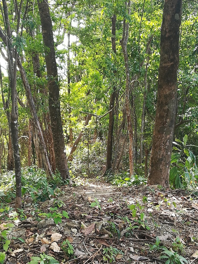 Distinguished Ocean View Development Acreage, Santa Teresa, Puntarenas