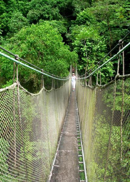 Rainforest Nature Reserve, Manuel Antonio, San Jose