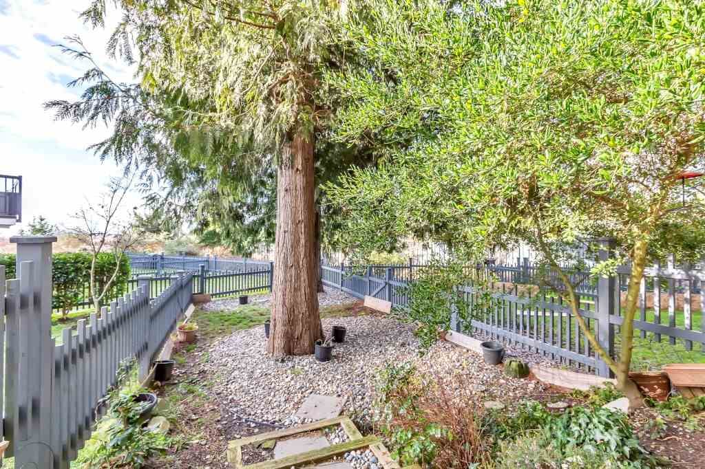 14-10415 Delsom Cres