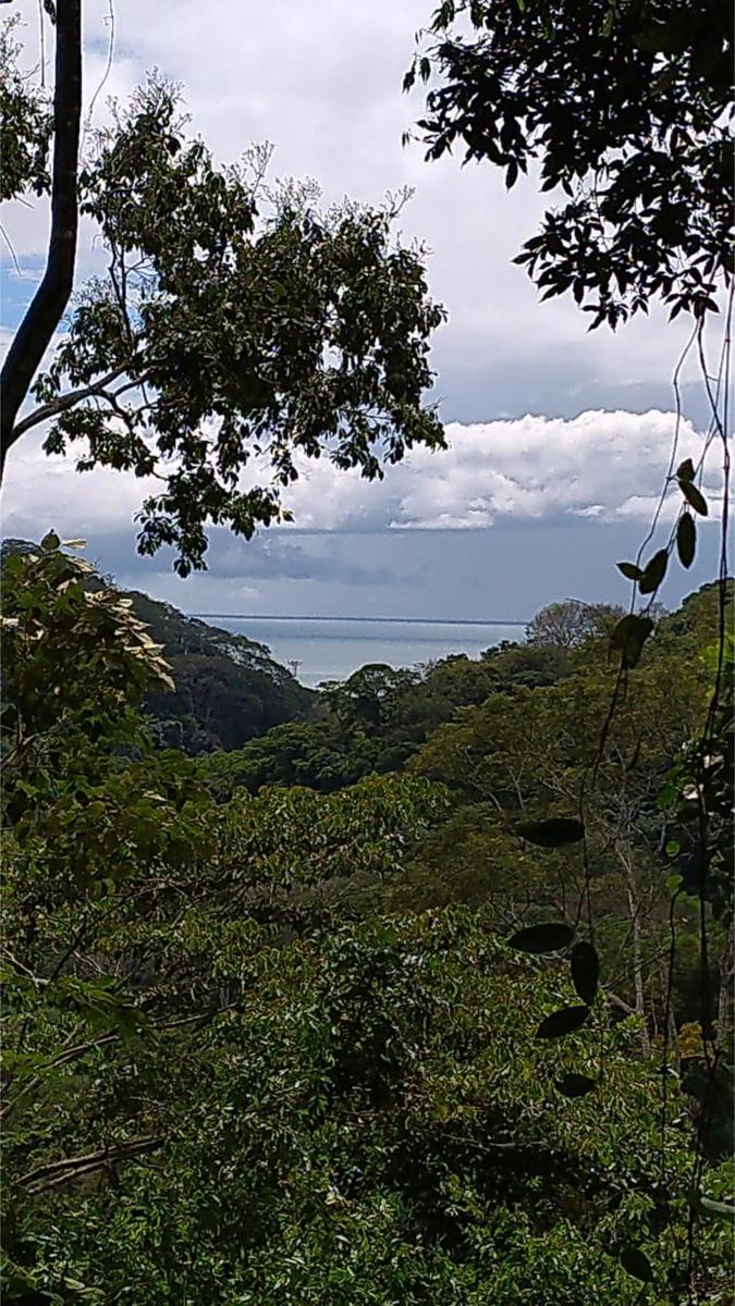 Private Ocean View Development Lot, Dominical, Puntarenas