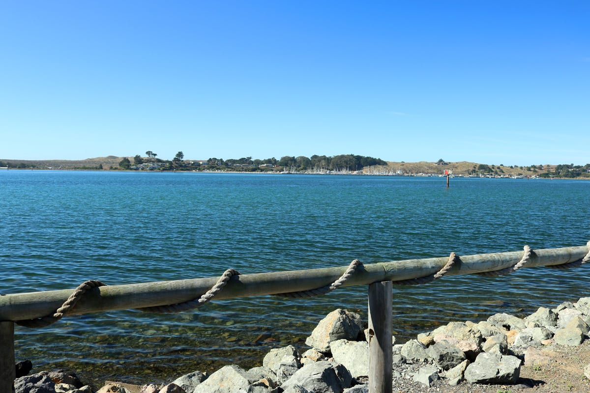 Bodega Bay