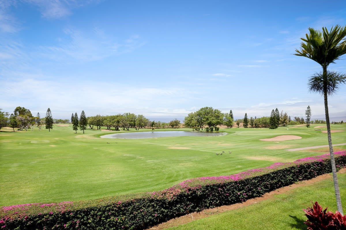 Waikoloa Fairways A207