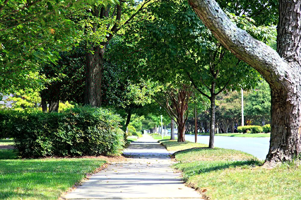Plaza Midwood - Charlotte, NC