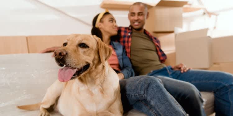 Tips for Moving with Pets