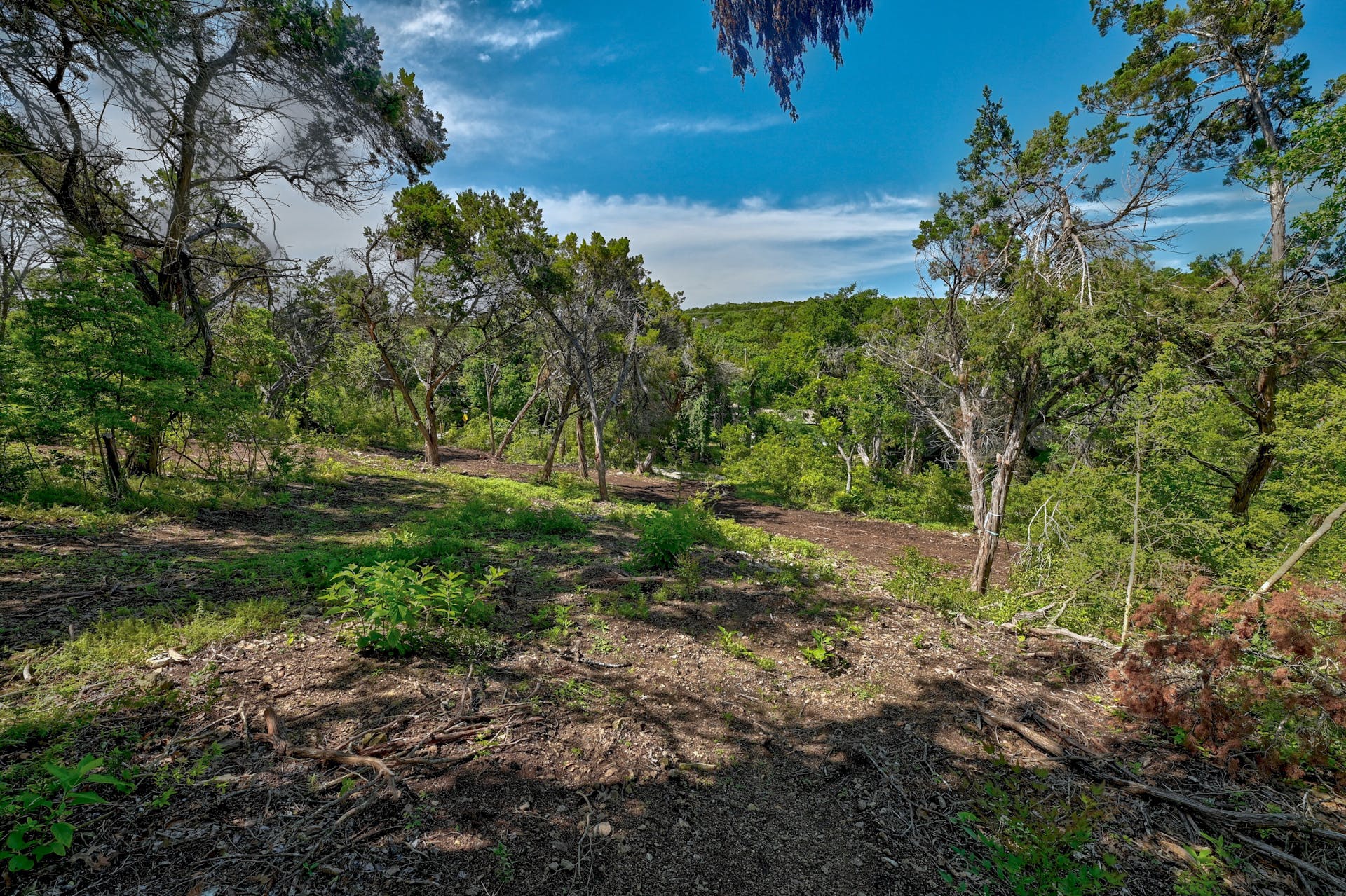 1217 Yaupon Valley Road