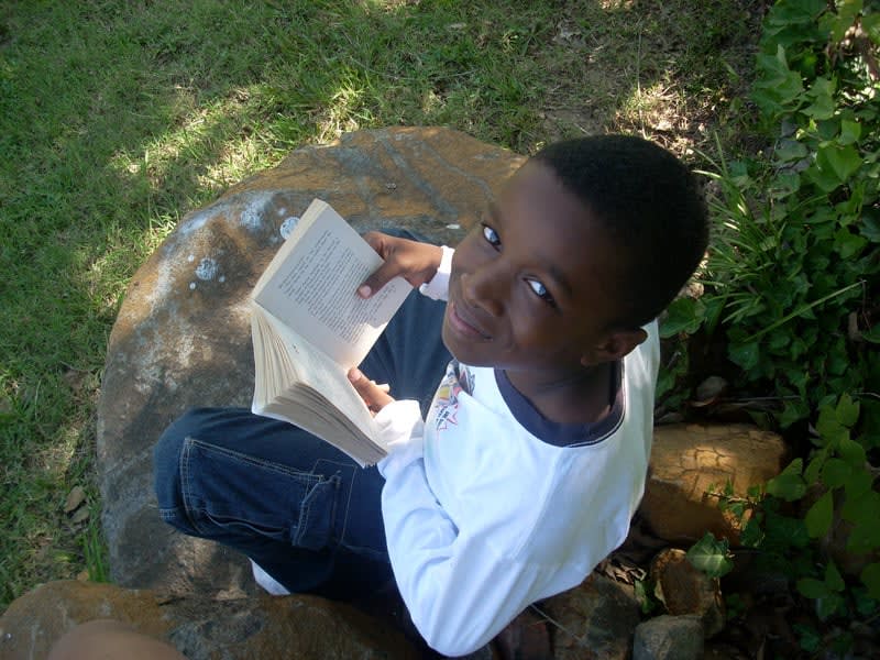 Discover the Magic of Books at the Children's Festival of Reading!