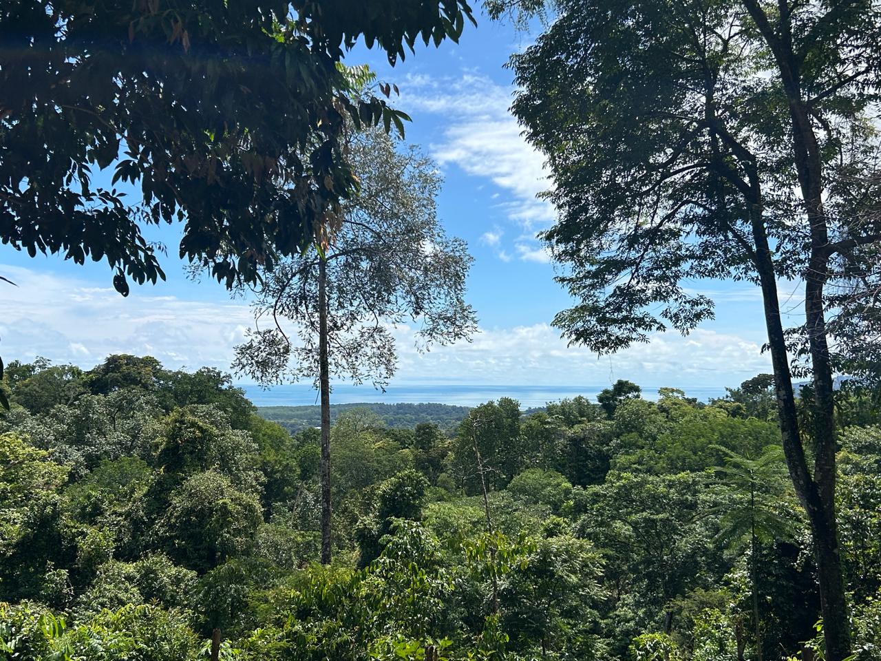 Marvelous Ocean View Parcel in Uvita.