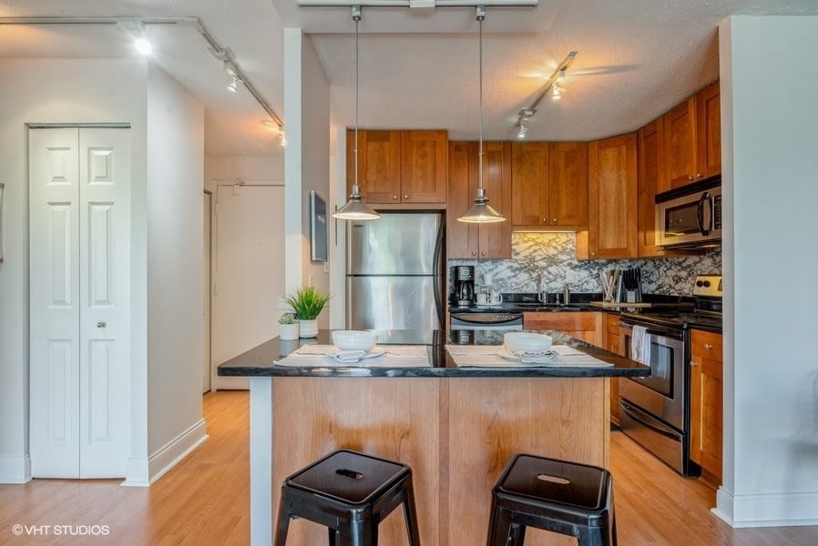 450 W Briar Pl Unit 3N