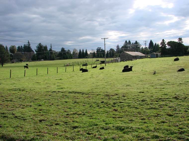 Salmon Family Ranch Sebastopol