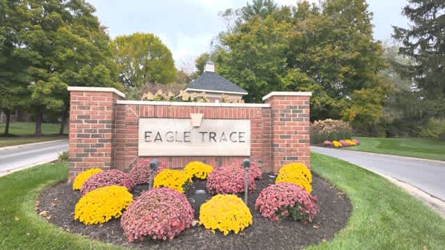 Eagle Trace