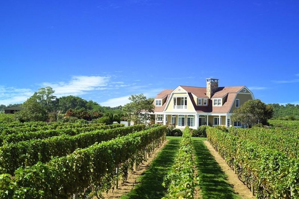 Country Vineyard Estate