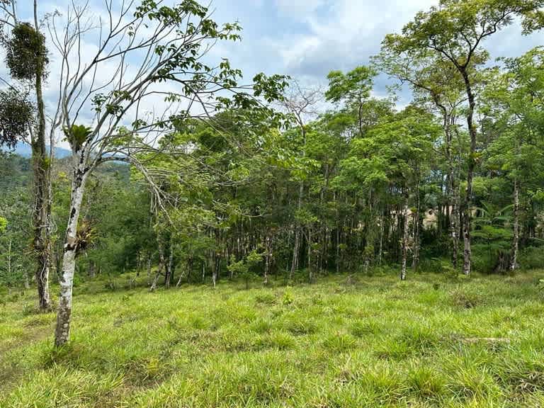 Buena Vista Land | Mountain Home Construction Site For Sale in Bijagua