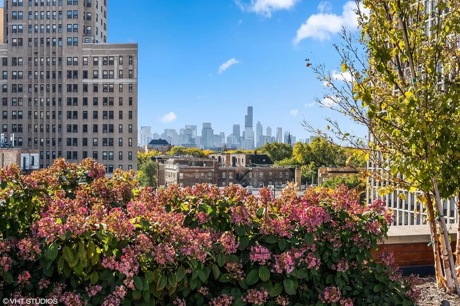 445 W Arlington, Unit 4W