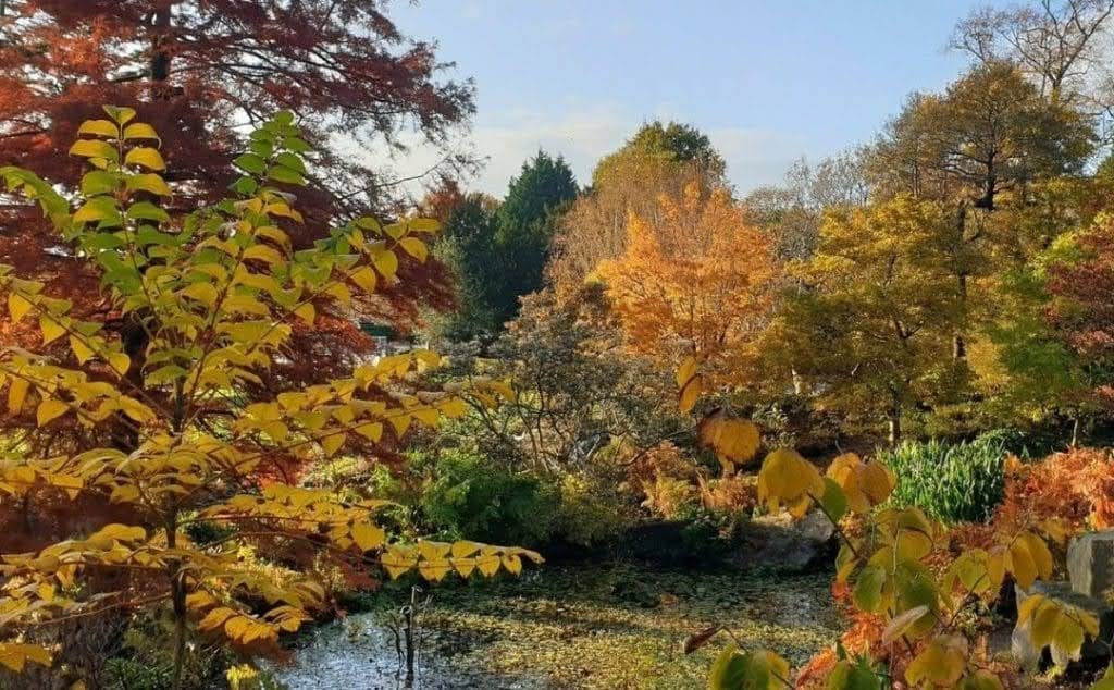 Fun Things to Do in Birmingham This September