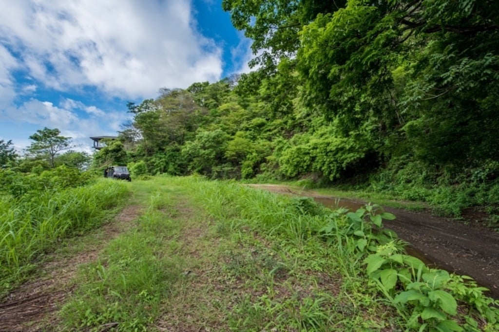 Ocean View Gated Development Lot, Tamarindo, Guanacaste