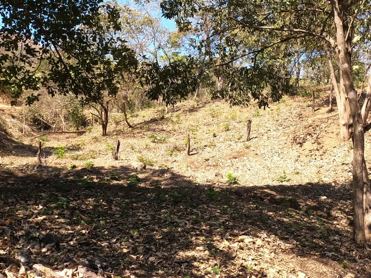 Land of your dreams | Large Lot with 2 Road Accesses