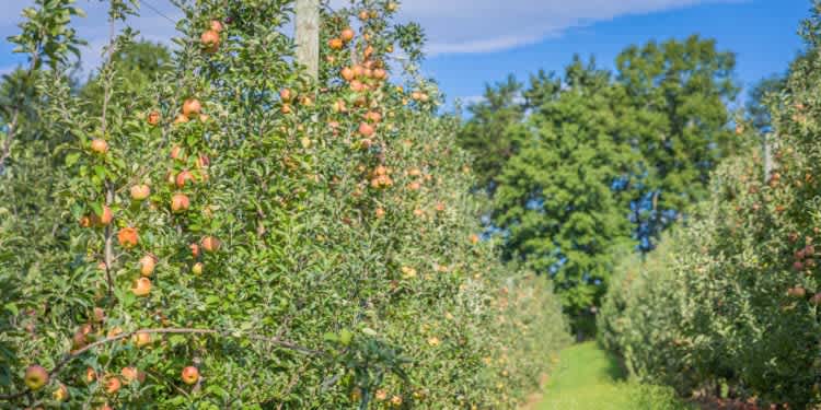 Local Love – Winter 2021, Part 2