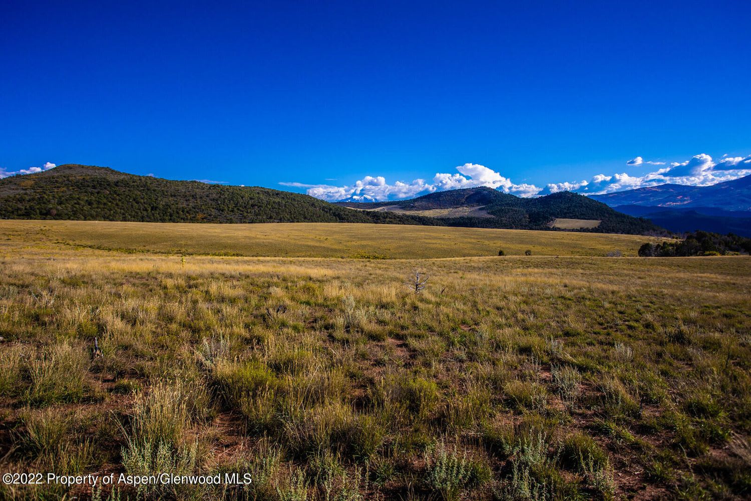 Lookout Mountain Ranch