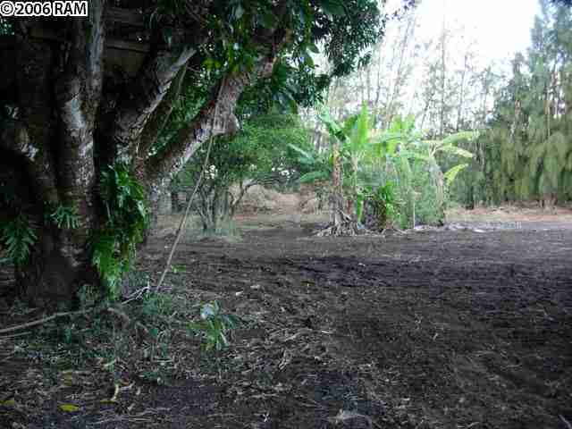 639 Kauhikoa Rd