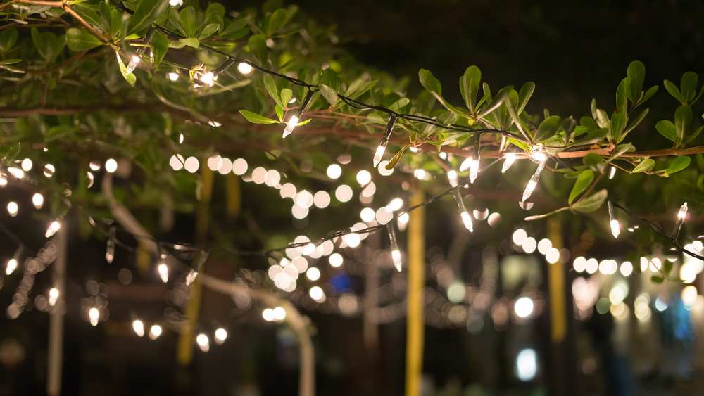 A Holiday Garden of Lights