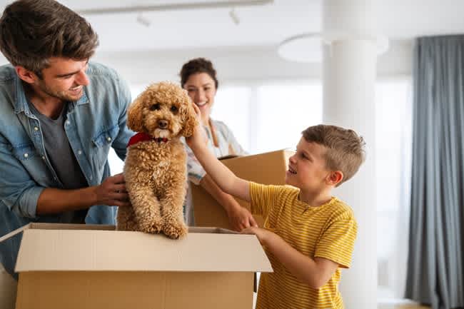 Tips for Moving with Pets