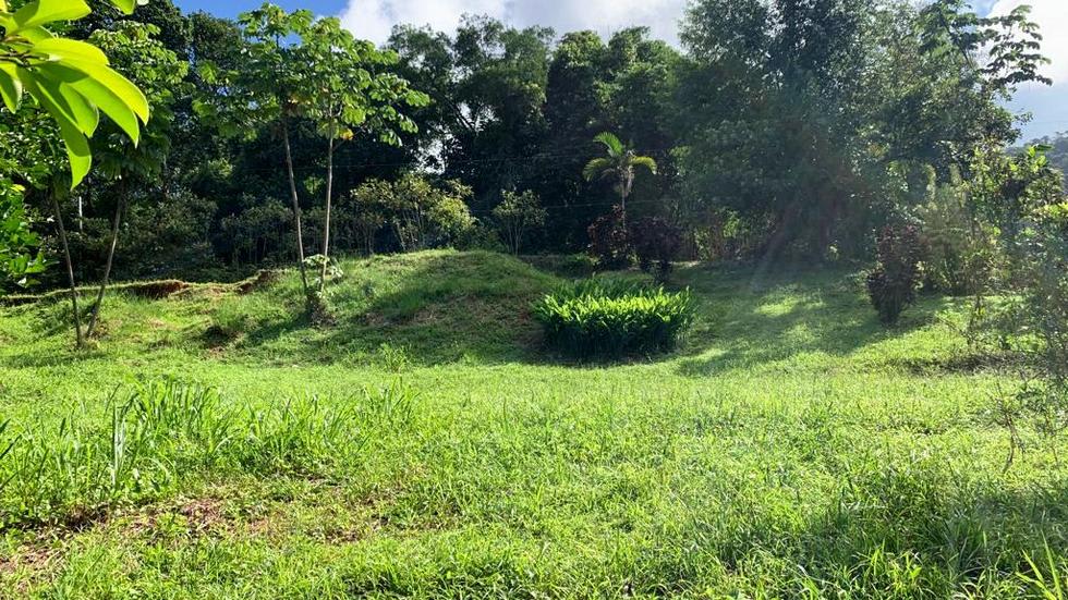 Ocean View Property with a Prime Location and Legal Water in Escaleras Dominical