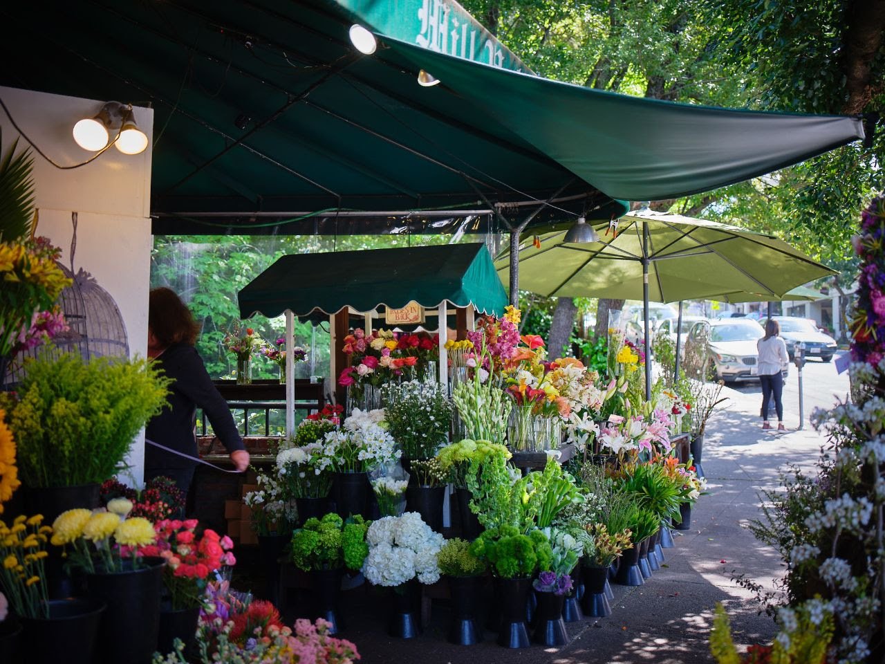 Real Estate Newsletter Marin October 2019