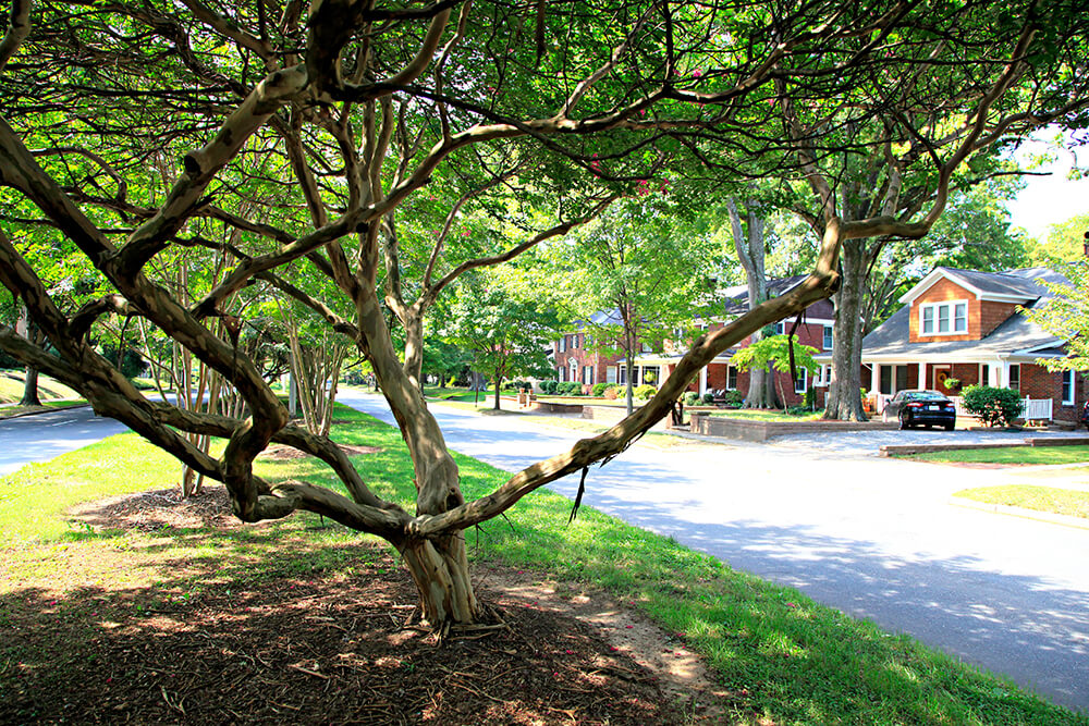 Plaza Midwood - Charlotte, NC