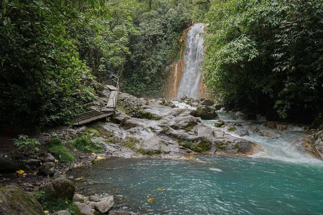 La Monarca