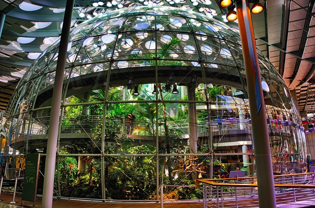 Inside the multi-level Osher Rainforest dome, with a circular walkway and lush tropical plants.