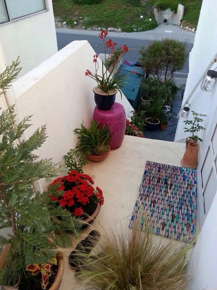 Small plant-filled balcony with red flowers, a pink planter, and a colorful woven rug.