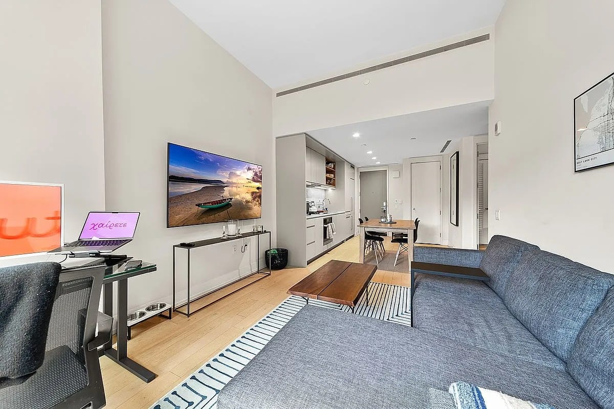 550 Vanderbilt Ave APT 207