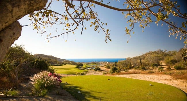 Calle Tiburon, Hacienda Palmilla San Jose Corridor