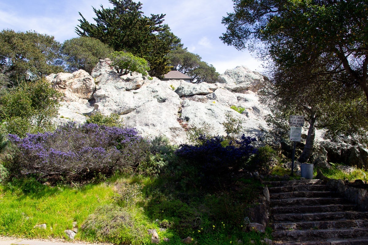 Berkeley Hills