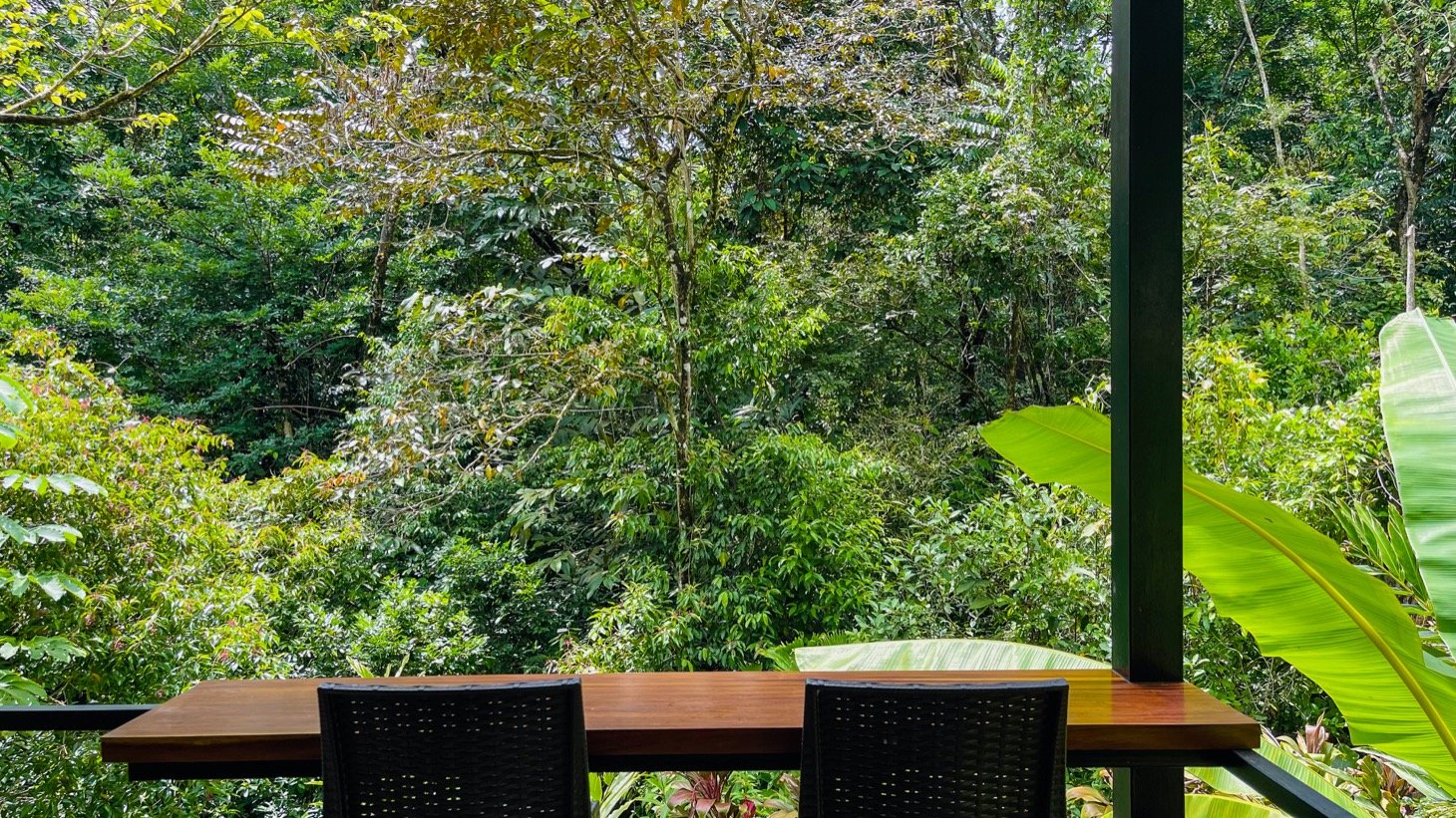Modern House For Sale With Jungle View, Peaceful Stream, and Rental Cabins