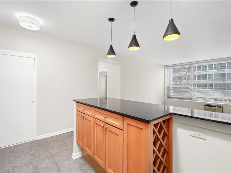 3600 N Lake Shore Dr #207, Chicago, IL 60613