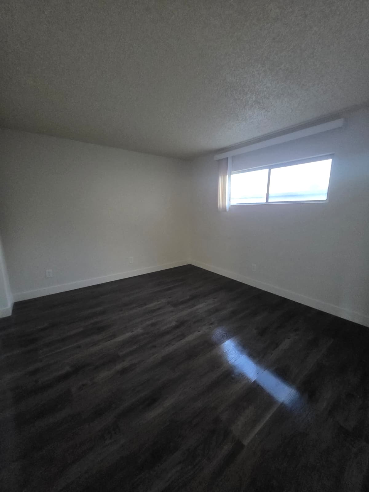 2616 Lynnwood Street #7