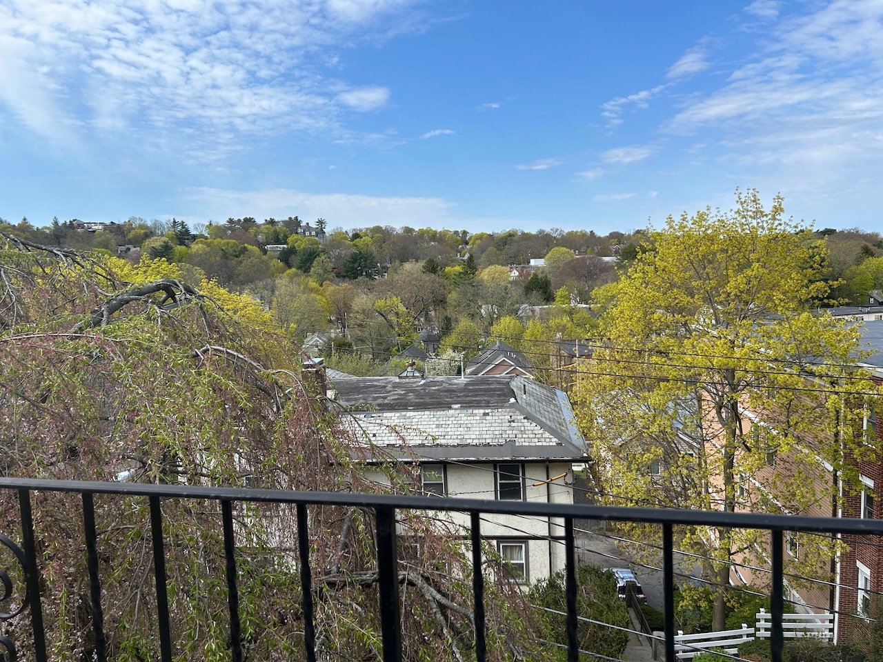 Sunny 4 Bed 2 Bath in the Heart of Brookline - Heat and Hot Water Included - 9.1