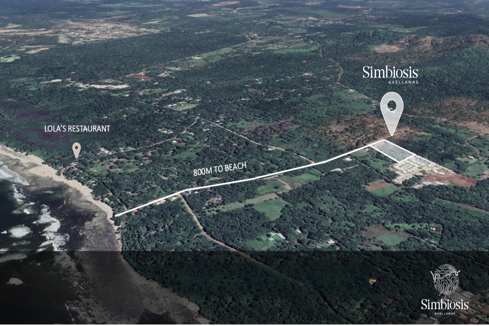 Simbiosis at Playa Avellanas: An Exclusive Gated Community Steps From The Beach 