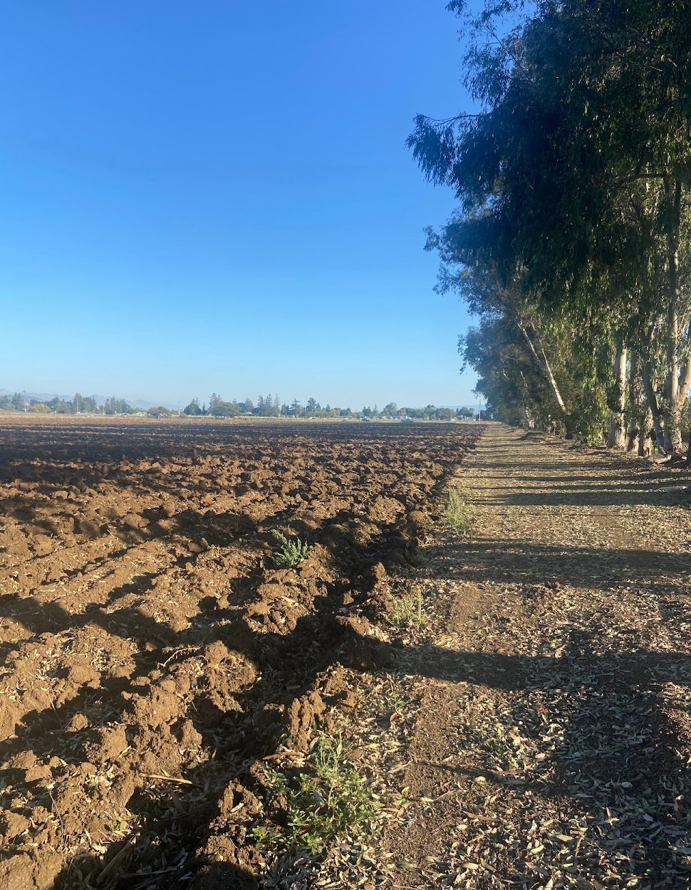 Highway 101 Property