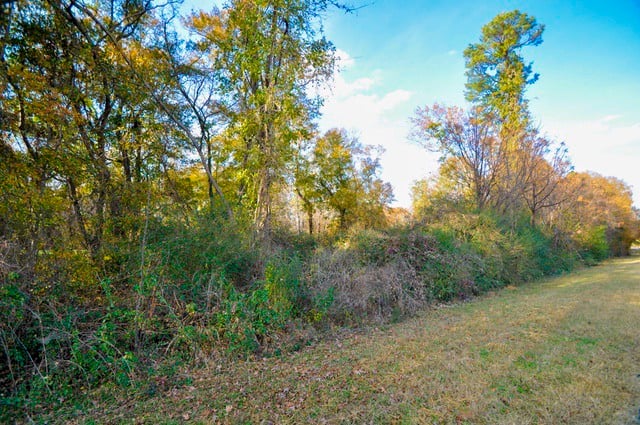 JUST LISTED!! 0 Government Station Road, Watkinsville, Georgia
