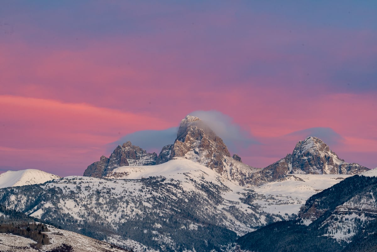 TREG 2025 Year-End Review cover