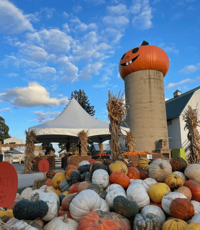 Pumpkins piled beneath a silo topped with a giant jack-o’-lantern at a farm.
