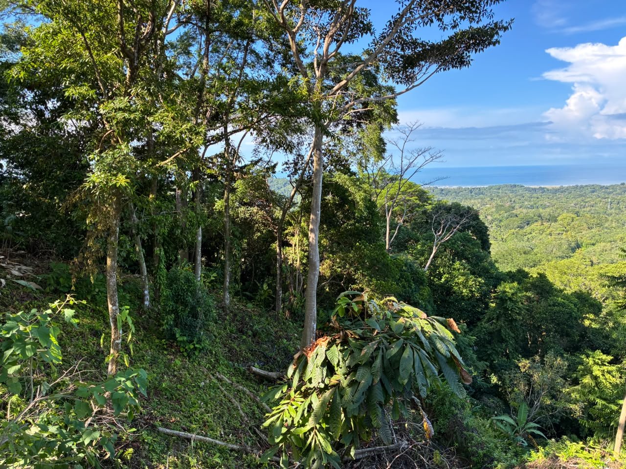 Affordable Ocean View Lot in Ojochal Phase9